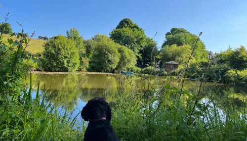 Court Cottage - Foto 3