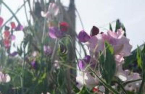 Tudor Romance- a historic manor house for holiday and corporate stays - Foto 15