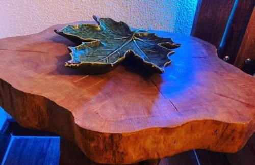 Casa do Vale - DOURO - Foto 52