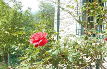 La casa nel bosco-senza auto - Foto 41