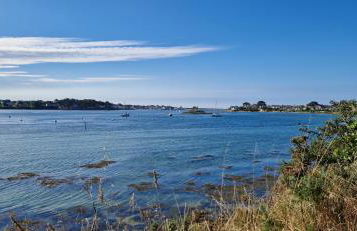 Ty Kervarlay - Foto 7