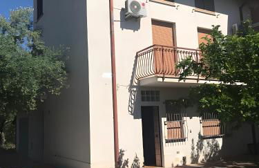 Tra gli ulivi - Foto 4