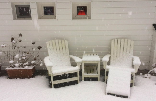 Gierle Garden Bungalow Escape - Foto 22