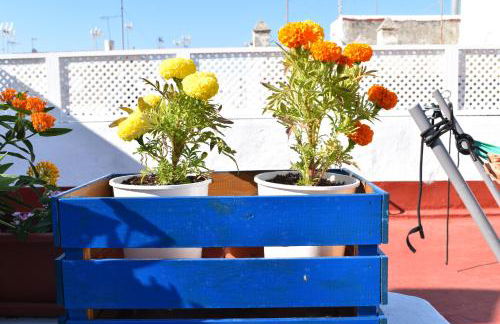 Apartamento La Discusión de Veedor 12 - Foto 24