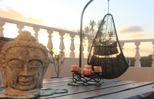 Terra Luso - Foto 21