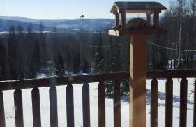 Wildmoon Home - Foto 18