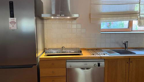 Espacioso e independiente apartamento - Foto 5, stove