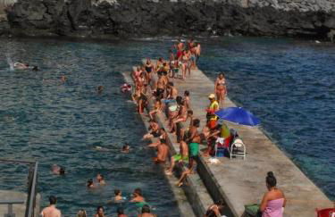 Cantinho do Ilhéu - Photo 120