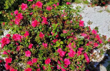 Casa Tarrío con Piscina - Santiago de Compostela - Photo 79