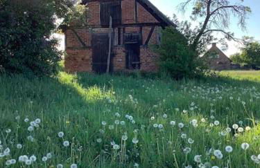 Haus an Fluss und See - Foto 40