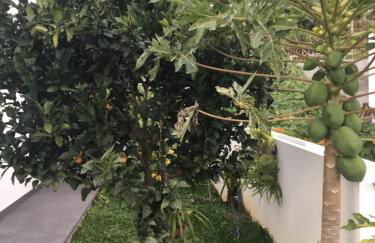 White Studio - Foto 8