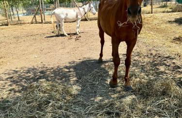 Il Borgo delle Pampare - Foto 77