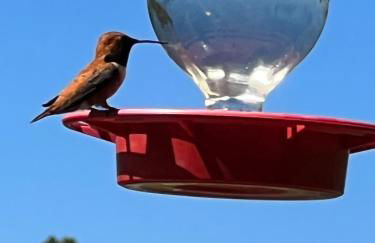 Meandering Moose Apartment Vacation Rental - Foto 79