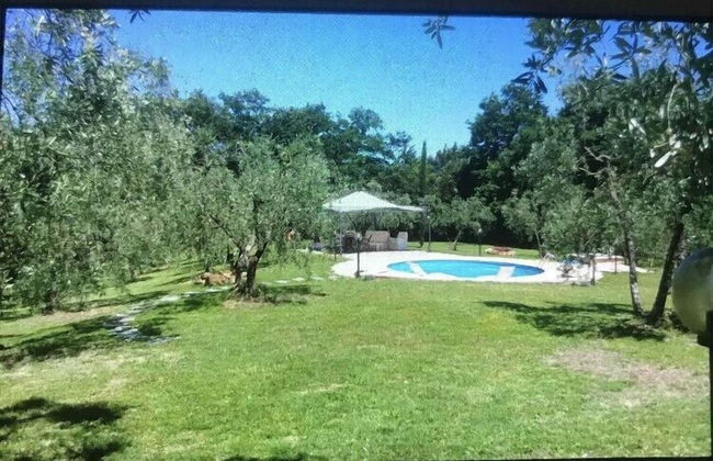 FUCCIOLI II - Foto 1