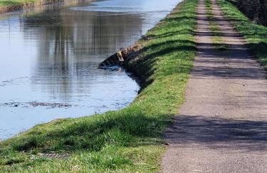 La Longère des Oies - Foto 25
