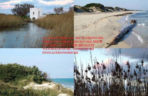 Blue Sea Apartment - Foto 79