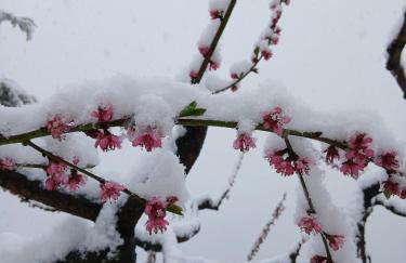 La Casa di Colle - Foto 35