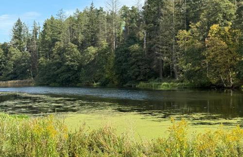 Apartament Nad Rzeką - Foto 27