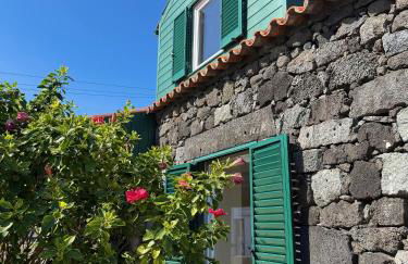 Musa do Pico - Photo 17