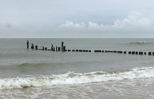 Luxurious Apartment Near the Pleasant Centre of Bergen - Foto 32