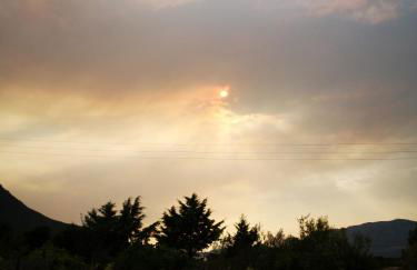 Pinnettu sardo casa di campagna in ecosistema insetti e animaletti simpatici in condivisione,Leggere attentamente Prima di prenotare - Foto 2