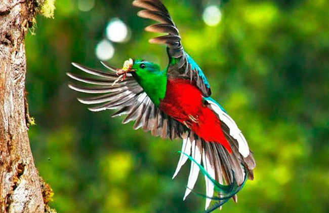 Destino Hotel & Hot Spring - Foto 34