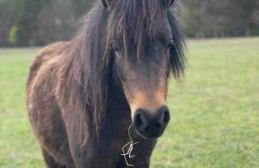 Urlaub auf dem Land - Foto 10