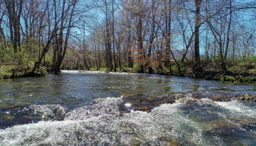 Creekside Memories - 2 Bedrooms, 2 Baths, Sleeps 6 Cabin by RedAwning - Foto 2