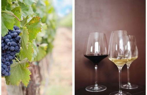 Studio Giannis, a breath away from Athens! - Foto 9