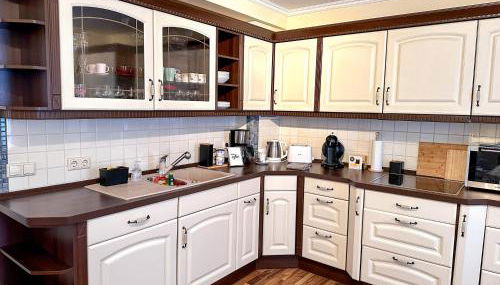 Apartement am Schloss Pillnitz - Foto 2, dishwasher