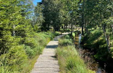 Harz Escape - Foto 27