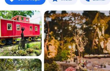 Bienvenidos a la Pequeña Selva de Legnalife - Foto 44