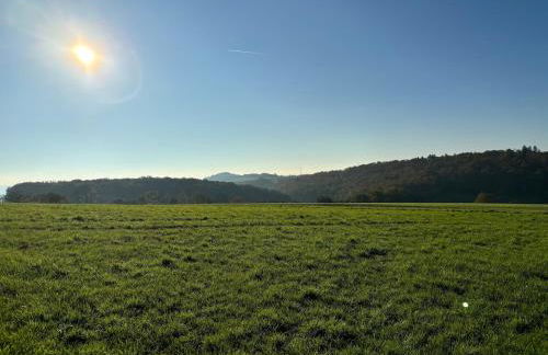 Panorama-Auszeit in Trierweiler - Foto 30