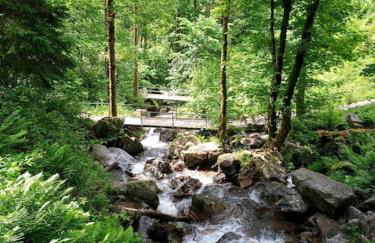 Ferienwohnung Hirschkopf - Foto 47