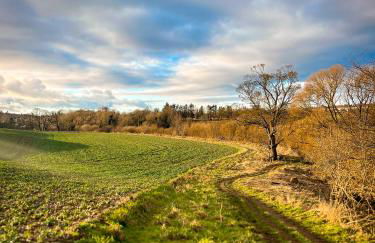 Carinya Cottage - Detached cosy cottage near Alnwick and Warkworth - Foto 24