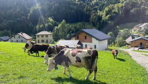 Villa en Bellevaux avec sauna et jacuzzi - Foto 2