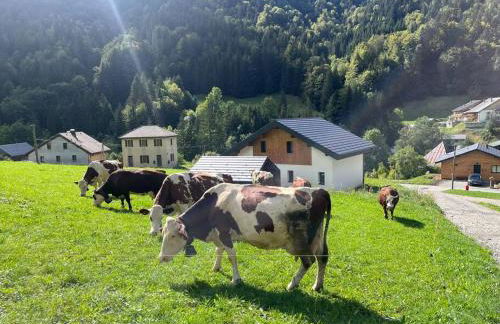 Villa en Bellevaux avec sauna et jacuzzi - Foto 2