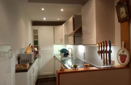 The Old Swan - Photo 4