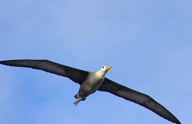 Española Island Day Trip - Photo 3