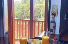 Chalés Lavras de Minas - Canadá - Photo 16