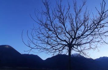 Βίλα Αρμονία Ορεινή Κορινθία - Foto 49