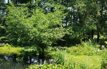 Na Piotrowickiej Przełęczy - Foto 57