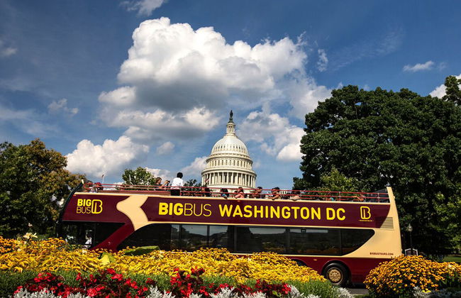 Big Bus Washington DC Hop-On Hop-Off Tour - Photo 1