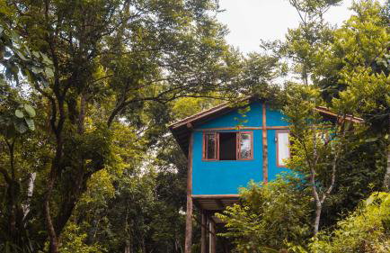 Ecocasa azul - Chalé na mata - Foto 43
