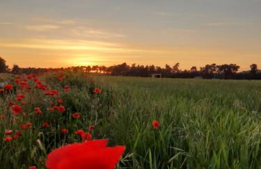 CASA RURAL LOS HALCONES - Foto 40