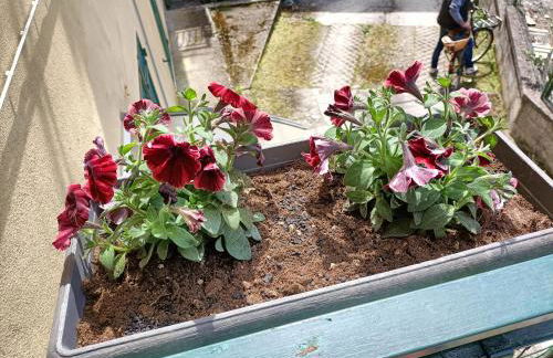 Da Ange e Bru - Foto 12