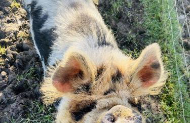 Granary Barn - Photo 3