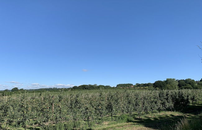 Blackberry Cottage - Foto 22