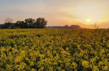 Haus Hinz Fe-Wo an der Ostsee - Foto 8