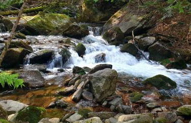 Apartaments Sort Pirineus - Foto 23